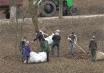 Уборка мусора, покраска и высадка деревьев. В Харькове прошел общегородской субботник