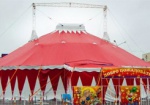 В Украине могут приватизировать государственные цирки