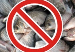 На Харьковщине с апреля вводится запрет на рыбалку