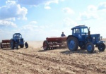 В Украине ранними зерновыми засеяли уже более половины площадей