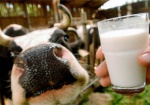 В области увеличили производство молока и поголовье КРС