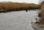 В реке на Харьковщине нашли тело женщины без головы и ног
