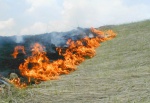 Харьковчанам напомнили о штрафах за сжигание листьев и травы