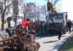 В Харькове проводится весеннее озеленение: десять лип высадили на улице Сумской