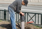 Харьковские коммунальщики внедряют новую технологию полива деревьев