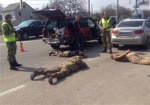 Машину с арсеналом оружия остановили на блокпосту под Харьковом