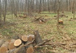 В Валковском районе браконьеры вырубили леса на 1 миллион
