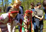 Вместе с главой области дети высадили аллею сакур в Краснокутском дендропарке