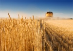 Европарламент одобрил расширение квот на украинскую агропродукцию