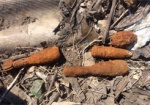 Возле харьковского озера нашли десятки боеприпасов
