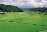 Сельхозпредприятие задолжало за использование земли 420 тыс. гривен