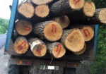 На Харьковщине задержали грузовик, незаконно перевозивший древесину