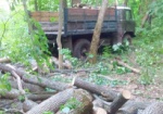 На Харьковщине браконьеры вырубили леса на 100 тыс. гривен