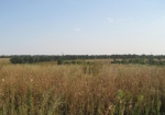 Под Харьковом фермер шесть лет арендовал землю по заниженной стоимости