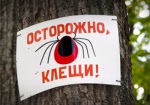 Харьковчан предостерегают – сезон активности клещей еще продолжается