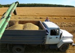 Украинские аграрии намолотили почти 1,3 млн. тонн зерна