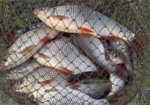 На Харьковщине браконьер выловил рыбы на 7500 гривен