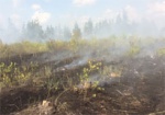 Спасатели просят харьковчан не провоцировать пожары в экосистемах