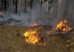 Спасатели напоминают об опасности лесных пожаров