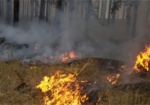 В районах области снова тушили пожары в экосистемах
