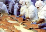 ООН поможет Украине создать систему контроля качества рыбных продуктов