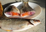 Харьковчанка съела вяленную рыбу и заразилась ботулизмом