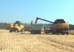 Собран первый миллион тонн зерна. Как проходит жатва на полях Харьковщины