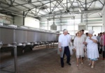 Сыродельный завод в Великом Бурлуке возобновил работу. Штат предприятия планируют расширять