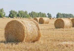 В Харьковской области собрано уже 2 миллиона тонн зерна