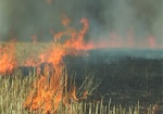 На Харьковщине стало больше пожаров в лесах и на полях. Фермерам напомнили о правилах при уборке урожая