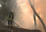 Крупный пожар на пустыре возле Салтовки: огонь тушили более девяти часов
