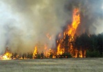 Лесной пожар в Изюмском районе: огонь тушит спецтехника и вертолет