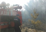 Лесной пожар в Изюмском районе потушили только к утру