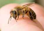 На Купянщине - две смерти: самоубийство и гибель от укуса пчелы