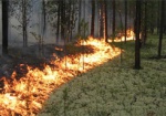 На Харьковщине сохраняется чрезвычайная пожароопасность