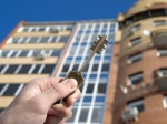 В Харьковской области жилье получат 57 семей участников АТО