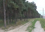 В Харькове слушают дело о выделении горсоветом земли в сосновом бору в районе Журавлевского гидропарка