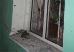 Во дворе частного дома на Харьковщине взорвалась граната