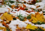 Синоптики прогнозируют первый снег во второй половине октября