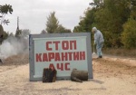 Новая вспышка АЧС на Харьковщине: в районе выставлены ветеринарные посты и введен карантин