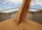 Украинский экспорт зерновых составил более 11 млн. тонн