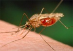 Турист из Харьковщины подхватил в Африке малярию