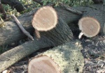 Браконьера из «Гомольшанских лесов» оштрафовали почти на 15 тысяч