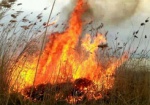 Житель Харьковщины погиб во время пожара в поле
