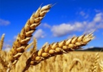 Украина экспортировала почти 12 млн. тонн зерна