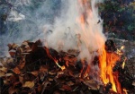 Харьковчанам напомнили о вреде сжигания листьев