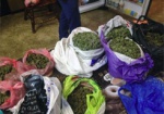 В Харькове полиция обнаружила почти 10 кг наркотиков