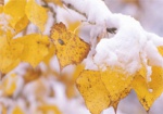 На следующей неделе в Украине выпадет первый снег