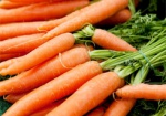 Цена моркови в Украине - самая высокая за последние 5 лет