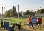 В Харькове - уже более 30 площадок для выгула собак